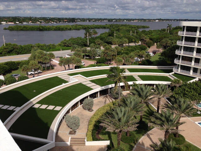 Phoenix commercial landscape turf