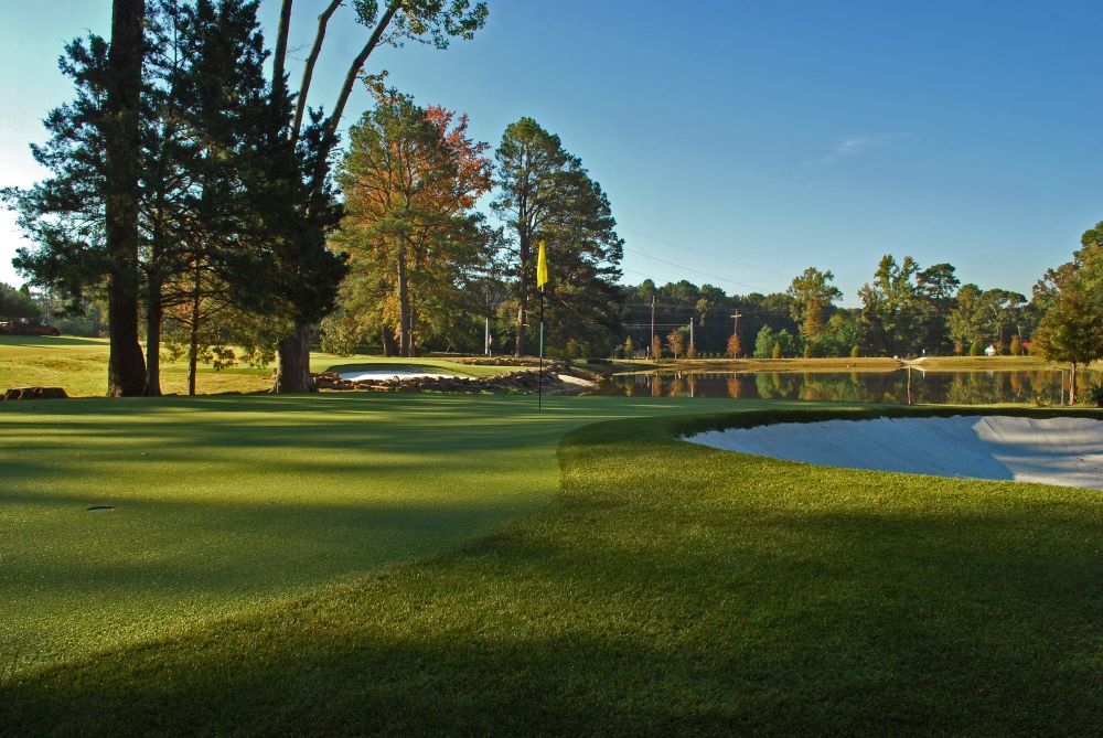 Phoenix Artificial Turf Golf Course
