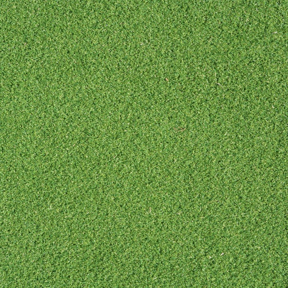 Close up shot of putting green turf. Close up shot of putting green turf.