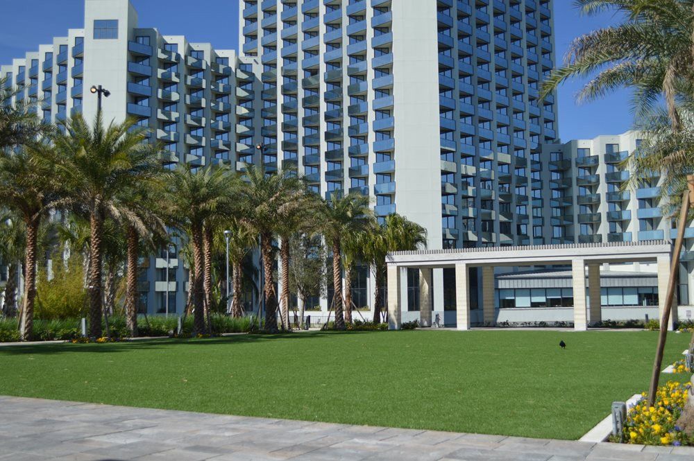 Phoenix artificial grass landscaping