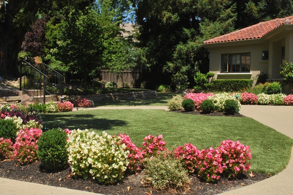 Phoenix Artificial Turf Lansdscaping