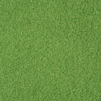 Close up shot of putting green turf.