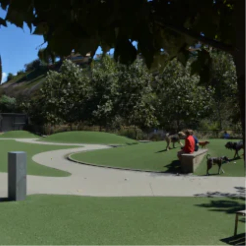 What to Understand Before You Spec a Dog Park Surface in Phoenix