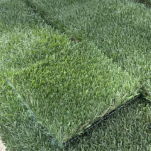 Introducing Wide Blade Turf in Phoenix