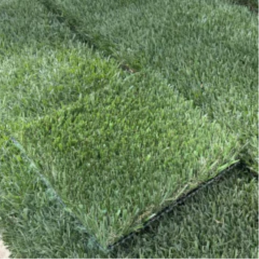 Introducing Wide Blade Turf in Phoenix