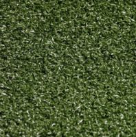 NYPutt&#32;300