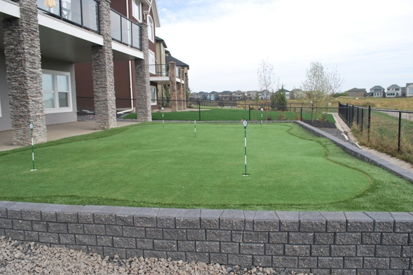 Phoenix residential backyard putting green grass near modern home with golf flags