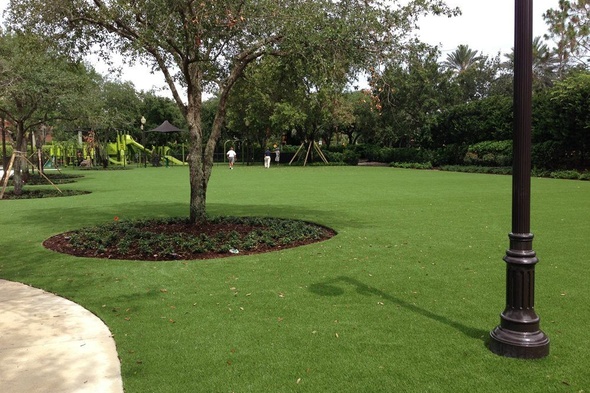 Phoenix commercial artificial grass landscaping