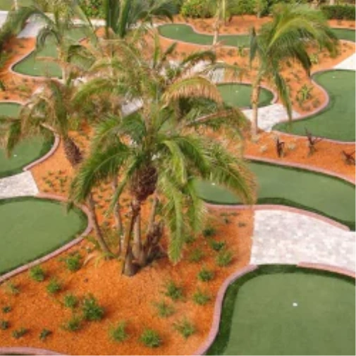 Top Mini Golf Courses in Phoenix