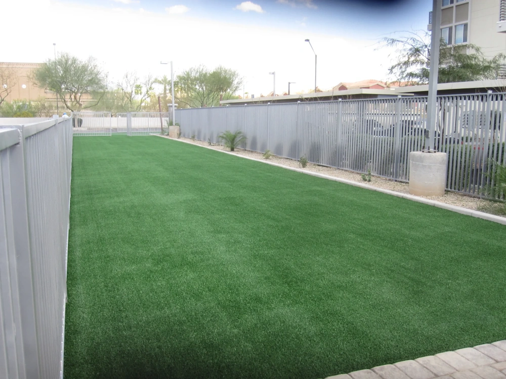 artificial turf in a fenced in area