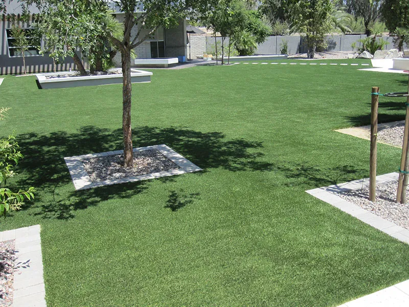artificial turf in a front yard with a tree