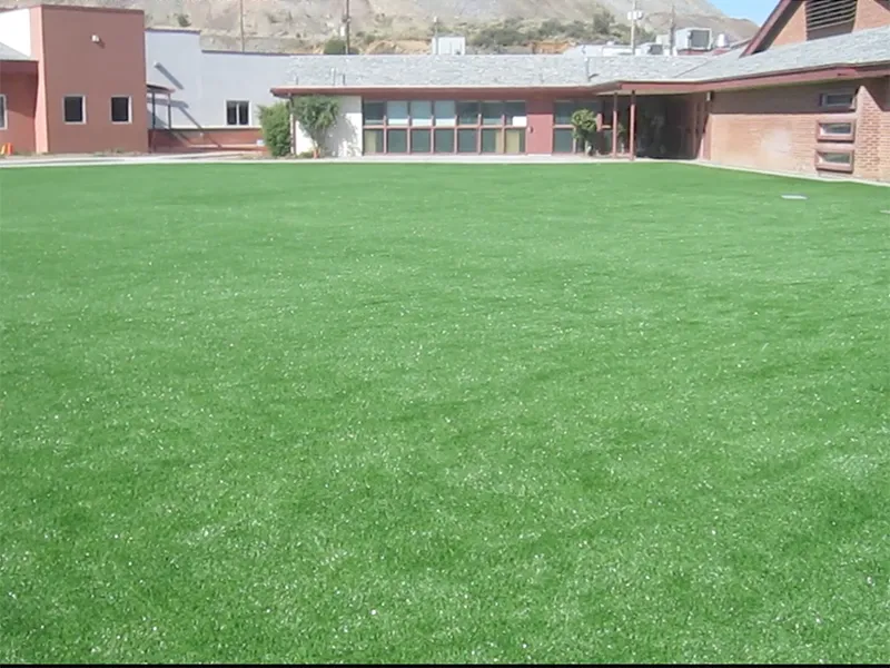 artificial turf in a front yard with a house