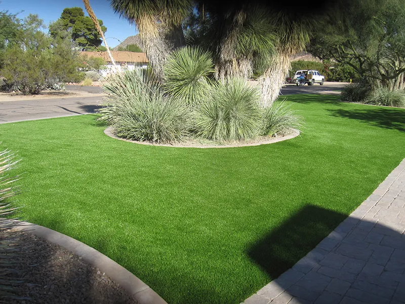 artificial turf in a front yard with large palm bush
