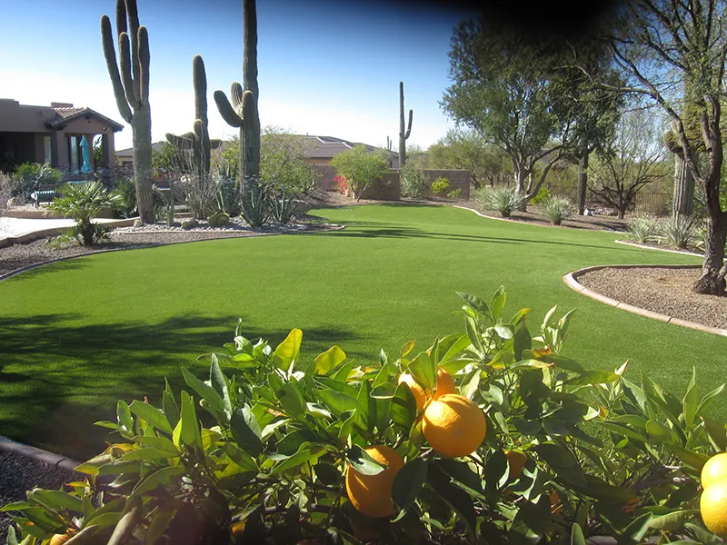 artificial turf in a front yard with a house and cacti