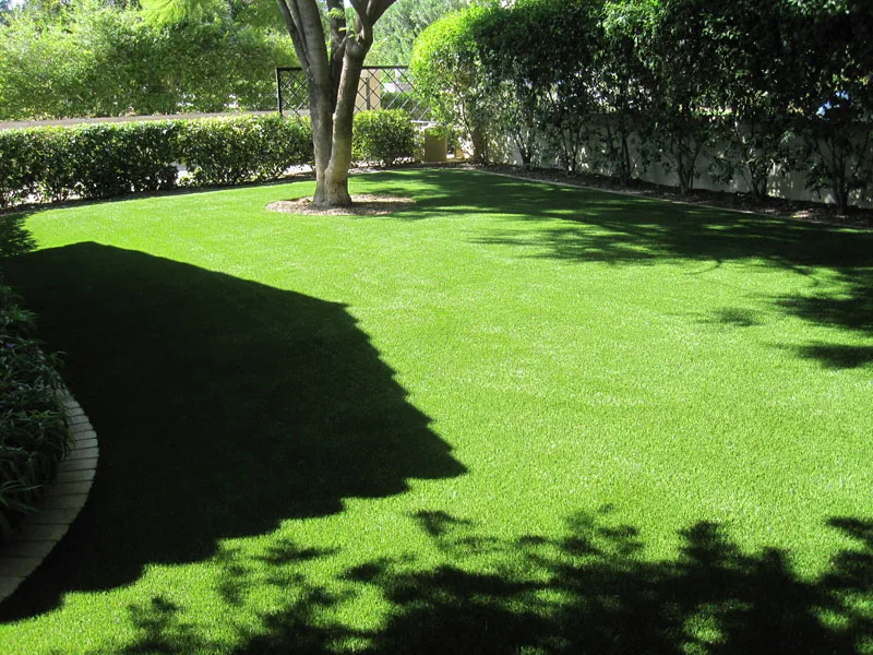 artificial turf in a front yard with a tree