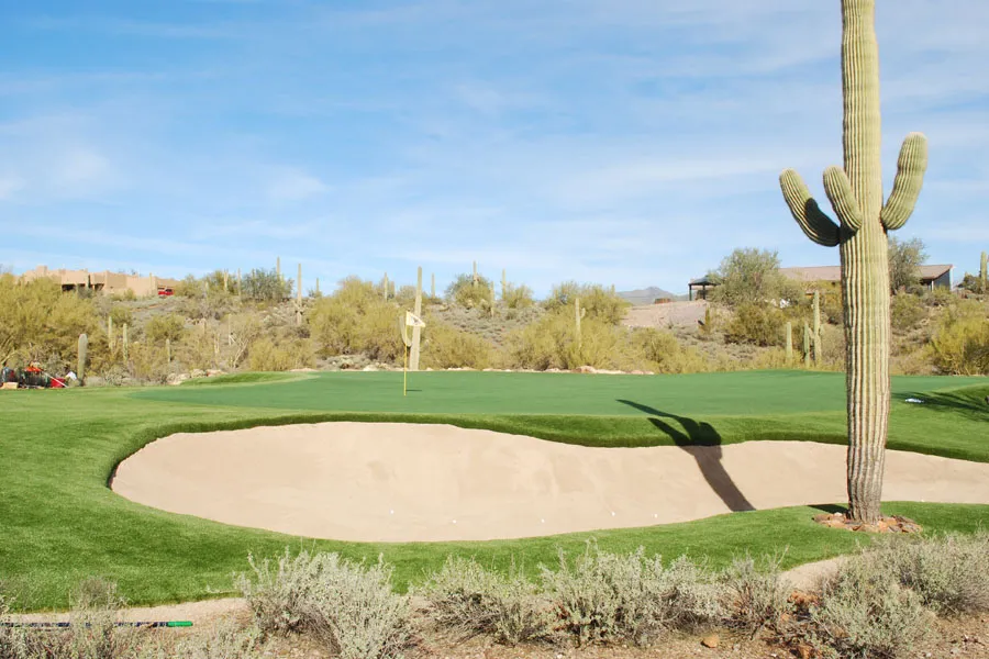a putting green in a backyard with cacti