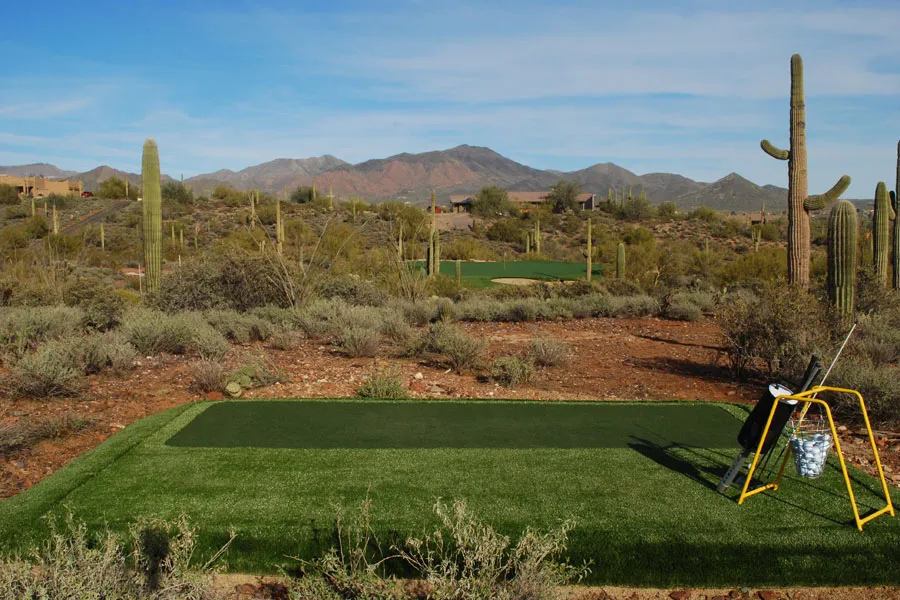 a putting green in a backyard with cacti