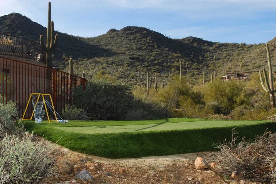 a putting green in a backyard with cacti