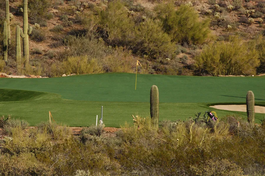a putting green in a backyard with cacti