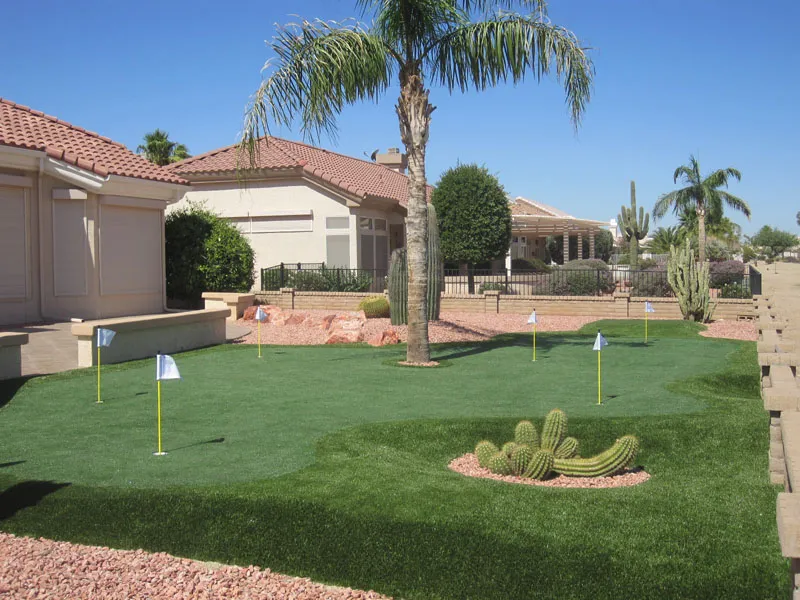 a putting green in a backyard with a palm tree