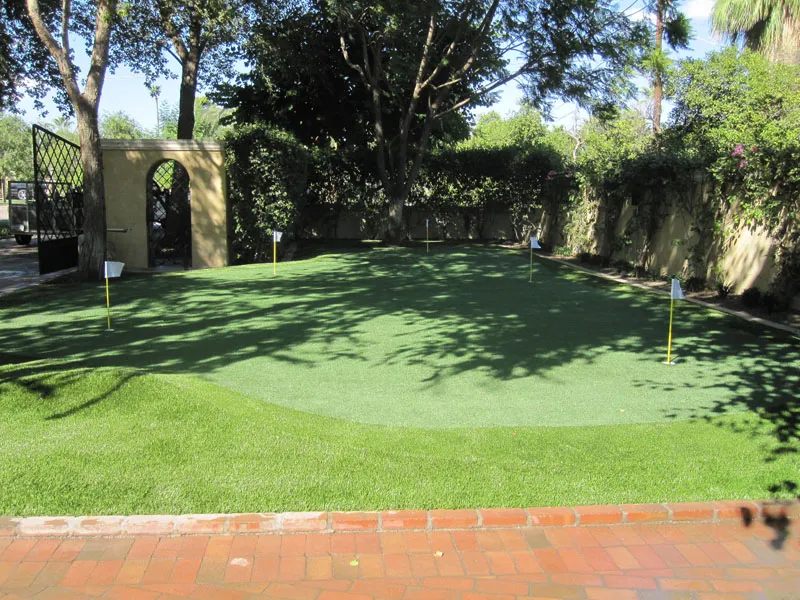 a putting green in a backyard in shade