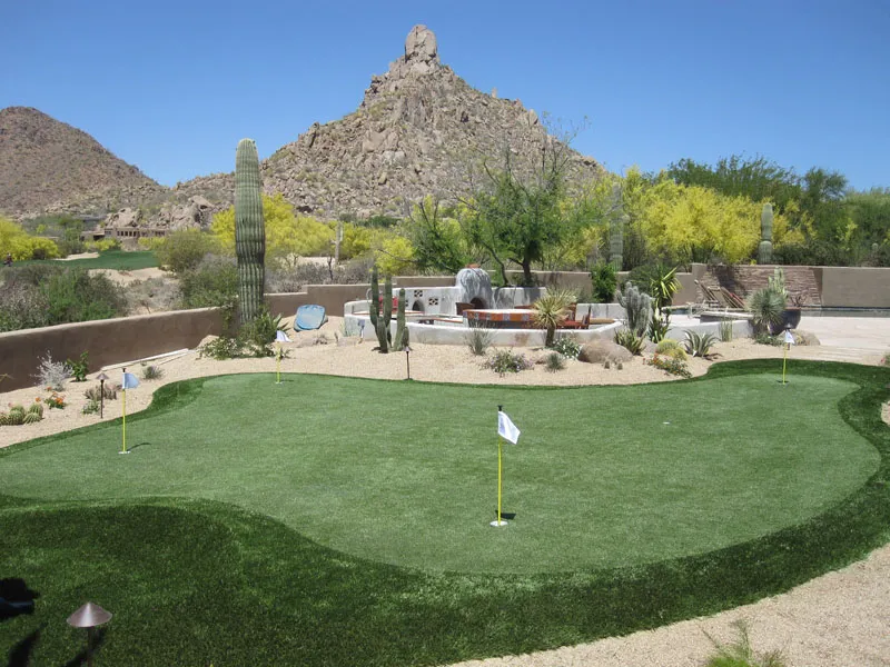 a putting green in a backyard with a hill behind it