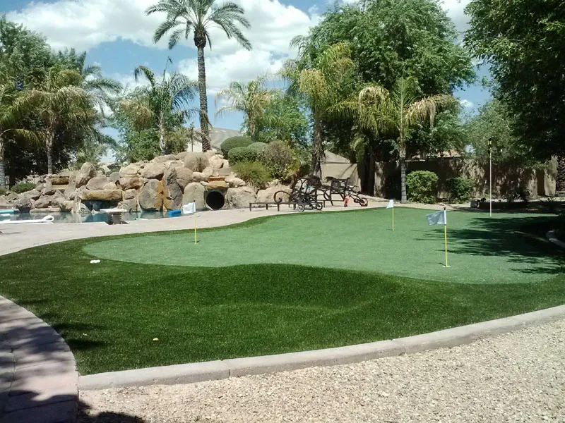 a putting green surrounded by palm trees and other trees