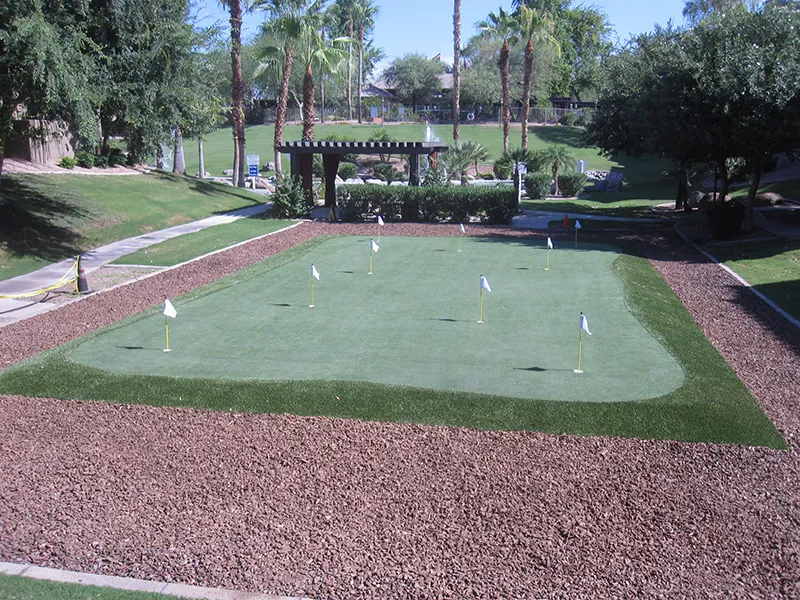 a putting green in a backyard with 10 hole flags